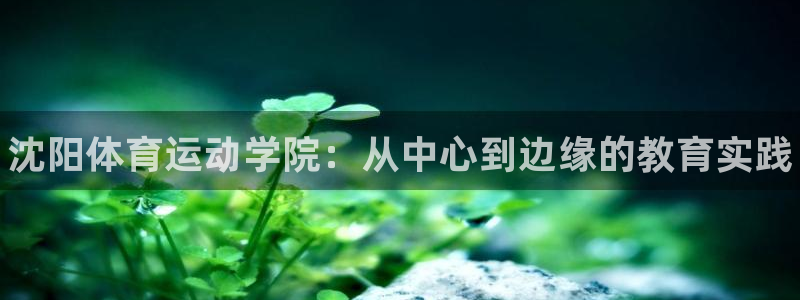 德国公海赌赌船官方正版app集团：沈阳体育运动学院：从中心到