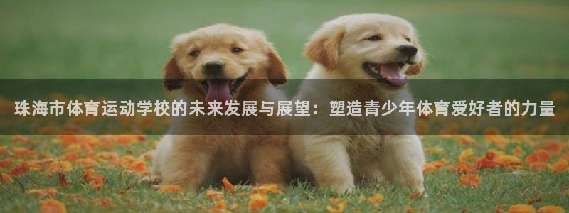 公海赌赌船官网下载平台APP：珠海市体育运动学校的未