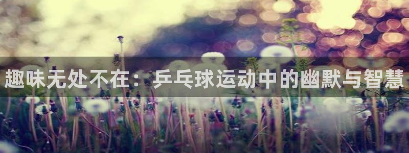 公海赌赌船官方正版app科技：趣味无处不在：乒乓球运动中的幽