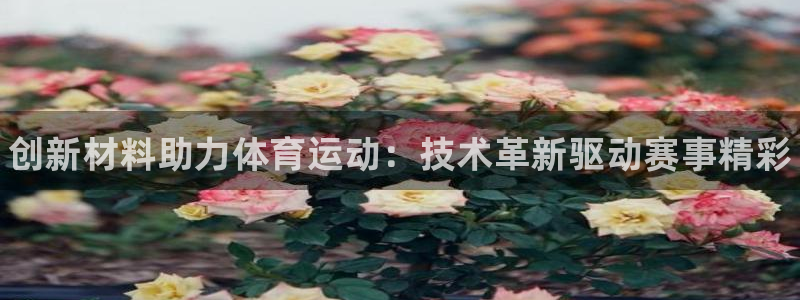 公海赌赌船官网下载招商：创新材料助力体育运动：技术革