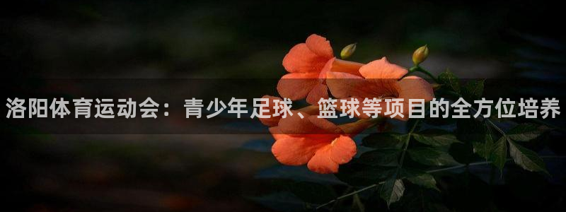 公海赌赌船官方集团官网：洛阳体育运动会：青少年足球、