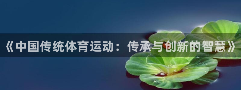 公海赌赌船官方正版app集团简介：《中国传统体育运动