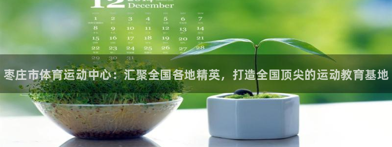 海南公海赌赌船官网下载：枣庄市体育运动中心：汇聚全国