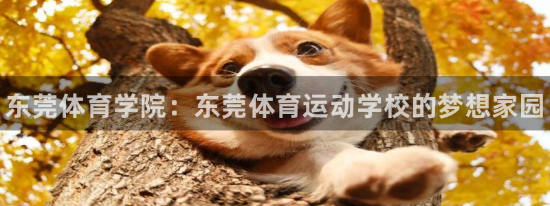 公海赌赌船官网下载注册：东莞体育学院：东莞体育运动学