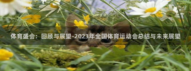 公海赌赌船官网下载平台：体育盛会：回顾与展望-202