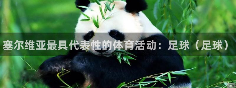 公海赌赌船官网下载官方客服电话：塞尔维亚最具代表性的