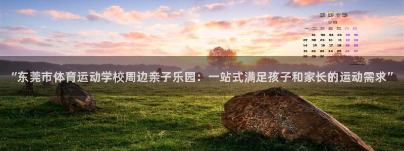 公海赌赌船官方正版app娱乐代理怎么样：“东莞市体育
