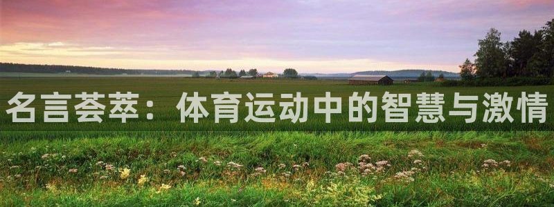 海南公海赌赌船官网下载：名言荟萃：体育运动中的智慧与