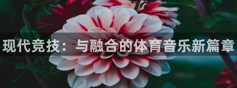 公海赌赌船官方正版app新能源
