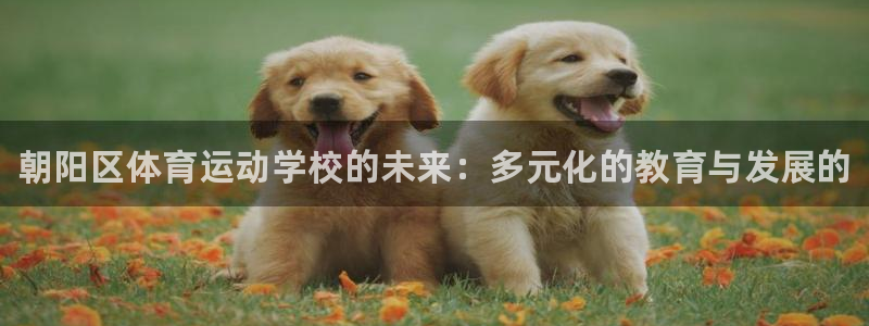 公海赌赌船官网下载招商电话号码是多少啊：朝阳区体育运动学校的
