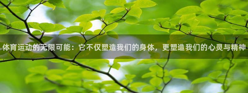 公海赌赌船官方正版app娱乐：体育运动的无限可能：它不仅塑造