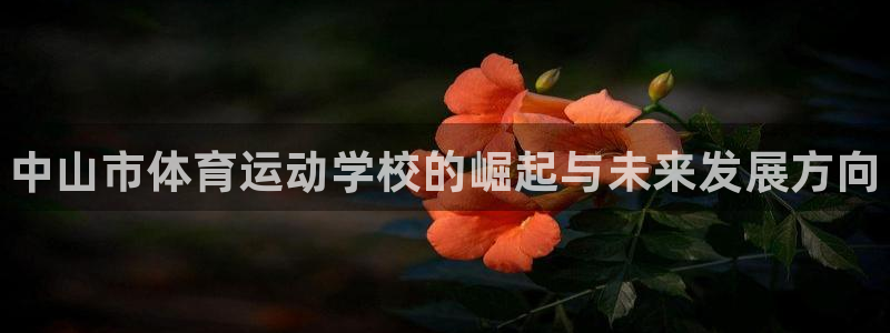 公海赌赌船官网下载开户：中山市体育运动学校的崛起与未来发展方