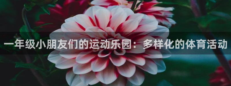 公海赌赌船官网下载招商电话号码查询是多少：一年级小朋友们的运