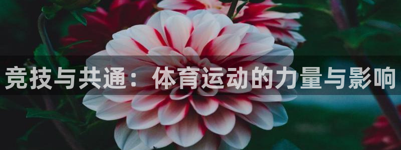 公海赌赌船官网下载招商电话号码：竞技与共通：体育运动的力量与