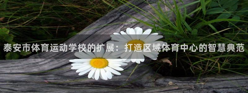 公海赌赌船官网下载是干嘛的公司：泰安市体育运动学校的扩展：打