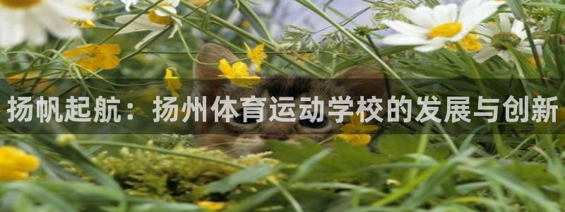 公海赌赌船官网下载招商电话号码：扬帆起航：扬州体育运动学校的