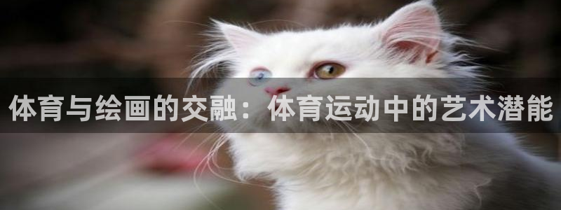 公海赌赌船官网下载平台假的吗是真的吗：体育与绘画的交融：体育