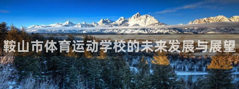 公海赌赌船官方正版app集团E.ON：鞍山市体育运动学校的未