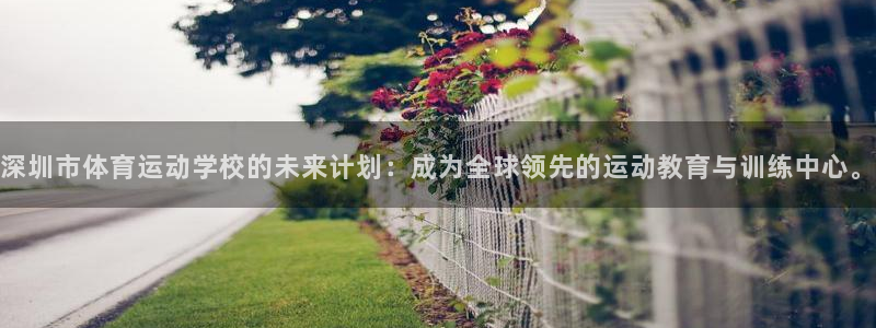 公海赌赌船官方正版app娱乐是那个系列的台子：深圳市体育运动