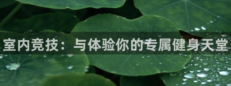 公海赌赌船官方正版app娱乐代理怎么样